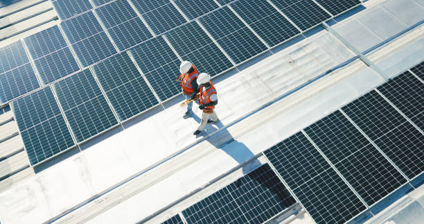 Best Roof Moss and Algae Removal  in Harlan, IA