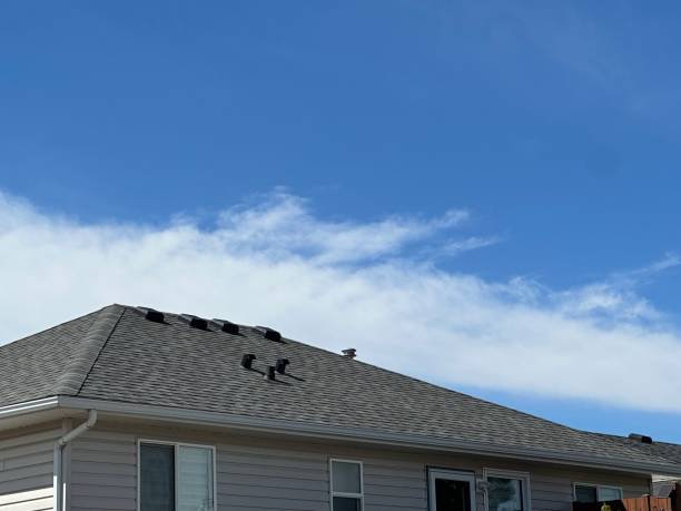 Best Tile Roofing Installation  in Harlan, IA